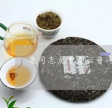 老同志五虎将普洱茶：品质、冲泡 *** 与品鉴技巧，一篇全面指南