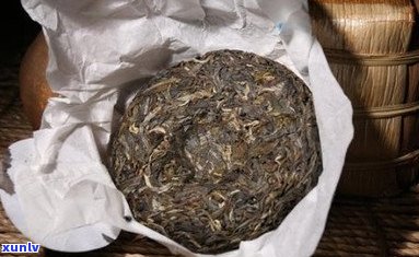 老同志五虎将普洱茶：品质、冲泡 *** 与品鉴技巧，一篇全面指南