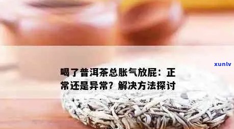 喝普洱茶后一直放屁的原因及解决办法