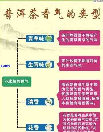 探究普洱茶中花香的神秘来源及其独特魅力