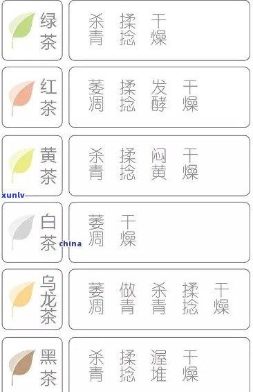 福寿喜茶的详细介绍、种类、功效与泡法，解答用户关于这款茶的所有疑问