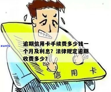 信用卡违法，如何操作？手续费多少？用什么?