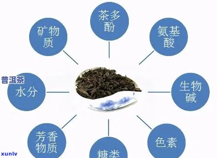 普洱茶的营养成分分析及其对健的益处全面解析