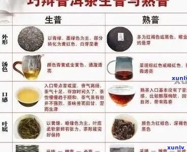 普洱茶的营养成分及其对人体健的影响