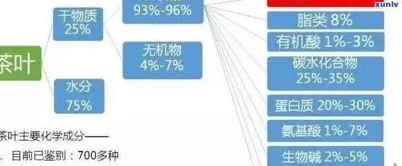 普洱茶的全面营养与药效：探究其丰富的成分及其对人体的影响