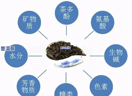 普洱茶含有营养成分