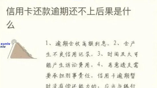 处理信用卡逾期立案问题，避免影响个人信用和记录