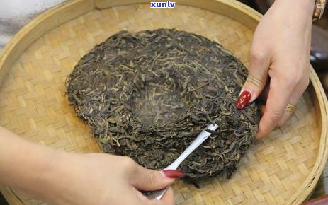 泡普洱茶多长时间：掌握泡法，品尝普洱茶的极致滋味