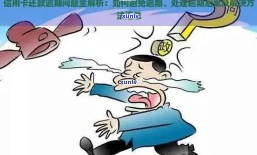 信用卡逾期后果全面解析：5家主流银行的政策和影响，你还敢忽视吗？