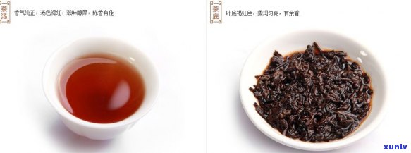 老同志普洱茶101批次价格查询及历价格表