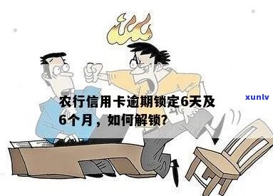 农行信用卡逾期已锁定是什么意思？