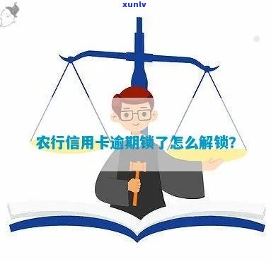 农行信用卡逾期锁定解锁全攻略：如何解除逾期限制？