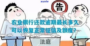 农行信用卡逾期已全款还清，恢复信用额度