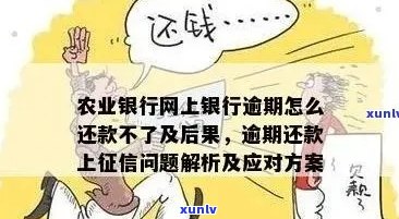 农行信用卡逾期锁定后如何规划还款计划，解决用户可能遇到的相关问题