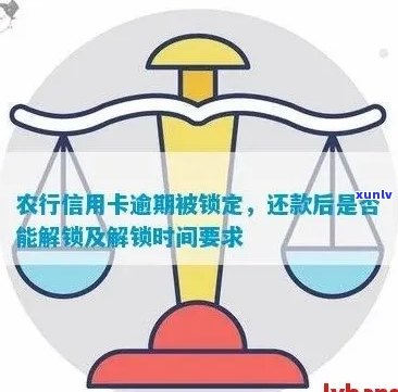 农行信用卡逾期锁定后如何规划还款计划，解决用户可能遇到的相关问题