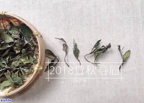 普洱茶泡久了还能喝吗？如何正确泡制和保存普洱茶？