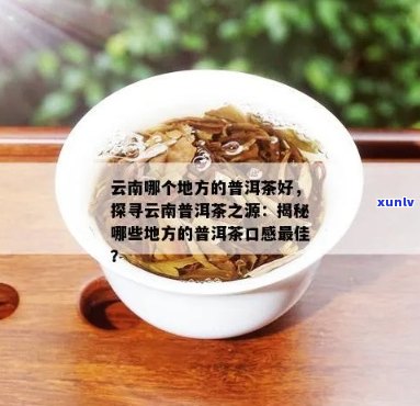 普洱茶哪地方产的：云南普洱茶品质，口感浓。