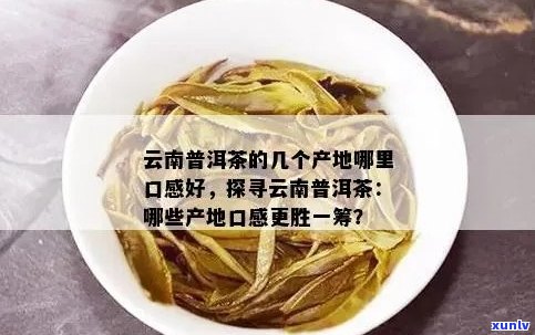 普洱茶哪地方产的：云南普洱茶品质，口感浓。