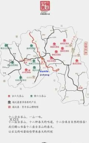 云南普洱茶的正宗原产地：历、文化与品鉴全解析