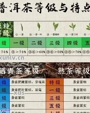 普洱茶叶的产地及其鉴别 *** ：了解产区、品种和品质的关键信息