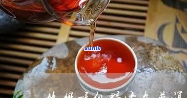 悠乐顶级野生态普洱茶价值