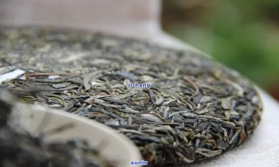 普洱茶七两七：历、 *** 工艺与品饮 *** 的全面解析