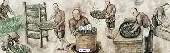 普洱茶七两七：历、 *** 工艺与品饮 *** 的全面解析