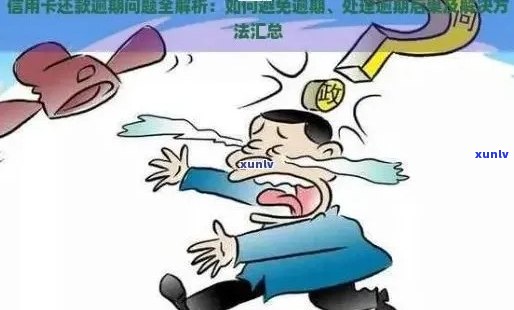 信用卡逾期：真相揭秘与应对策略，避免误入诈骗陷阱