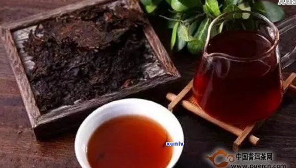 普洱茶减肥：科学解析与实际效果展示