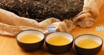 新 '普洱茶：减肥还是刮油？生茶与熟茶的对比研究'