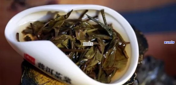 喝普洱茶苦涩味大吗？怎么回事？