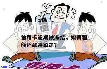 信用卡逾期后资金被冻结，如何妥善处理以及解决还款问题？