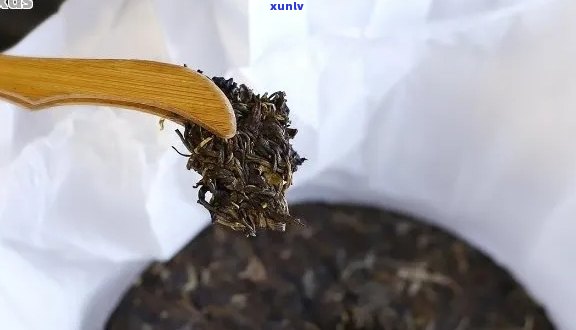 普洱茶变质了怎么处理？收藏与饮用的解决方案大公开！