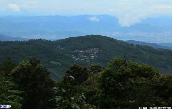 普洱茶六山之南糯山