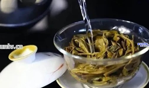 普洱茶冲泡指南：每克茶叶所需的水量与口感考量