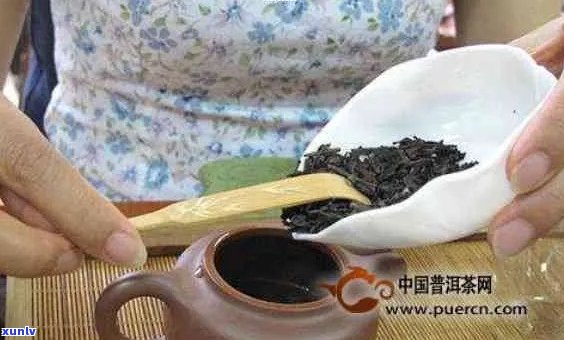 普洱茶泡法与用量指南：一泡茶需要多少克茶叶？如何控制茶水浓度？