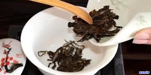 普洱茶泡法与用量指南：一泡茶需要多少克茶叶？如何控制茶水浓度？