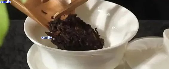 普洱茶泡法与用量指南：一泡茶需要多少克茶叶？如何控制茶水浓度？