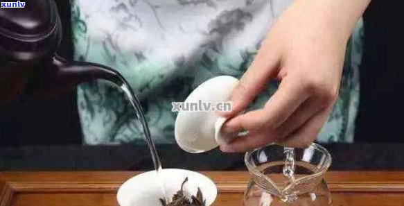 10克普洱茶泡法及茶叶与水比例：一次泡1500毫升可行吗？