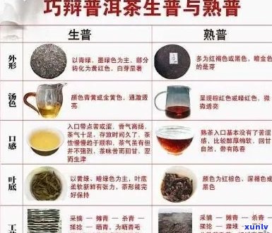 云南景迈山普洱茶全方位解析：品质、产地、 *** 工艺及品鉴 *** 一应俱全