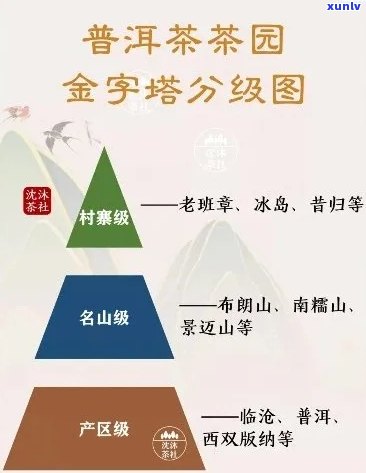 云南景迈山普洱茶全方位解析：品质、产地、 *** 工艺及品鉴 *** 一应俱全