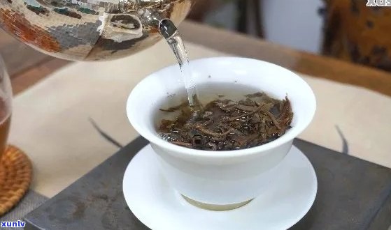 泡普洱茶最适合的壶型：寻找最适合泡普洱茶的壶及冲泡方式