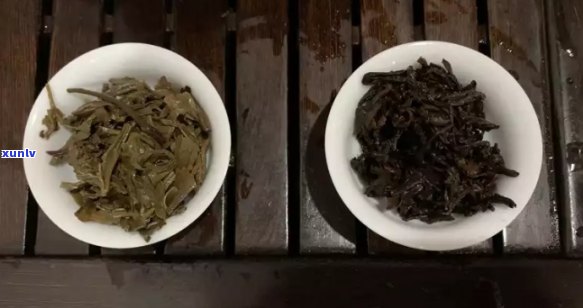 熟普洱茶跟生普洱茶有啥区别：如何品味与区别？