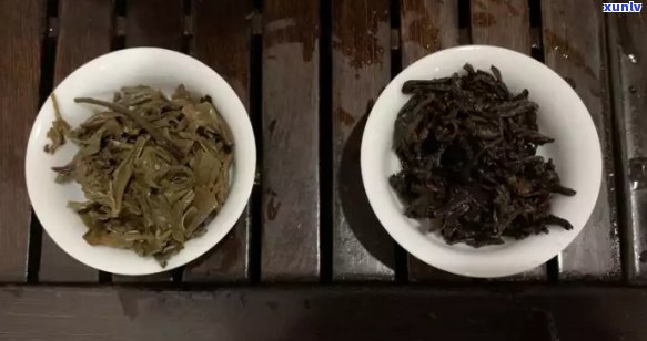 熟普洱茶与生普洱茶区别：它们之间的区别是什么？哪个更好？