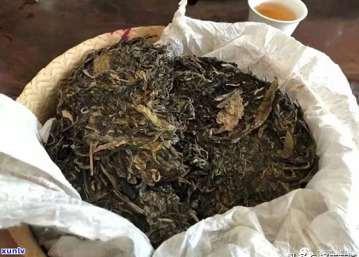 放了十多年的普洱茶