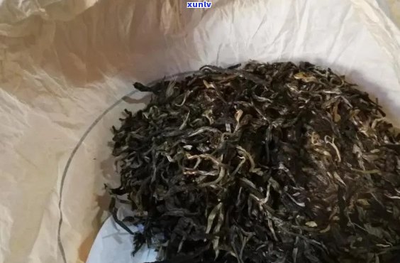 放了十多年的普洱茶