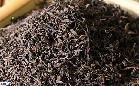 新普洱茶：十大名茶之一还是独特茶品？揭秘其历与地位