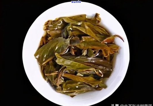 新普洱茶：十大名茶之一还是独特茶品？揭秘其历与地位