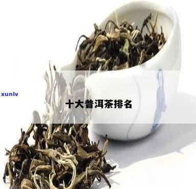 普洱茶不算十大名茶