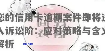 XXXX年信用卡逾期问题：民法典视角下的处理与建议